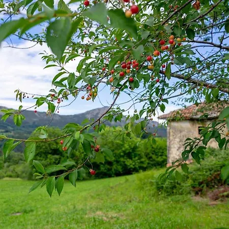 Alpesi faház Casa Rural Madriles